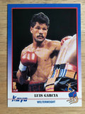 1991 Kayo #241 Luis Garcia