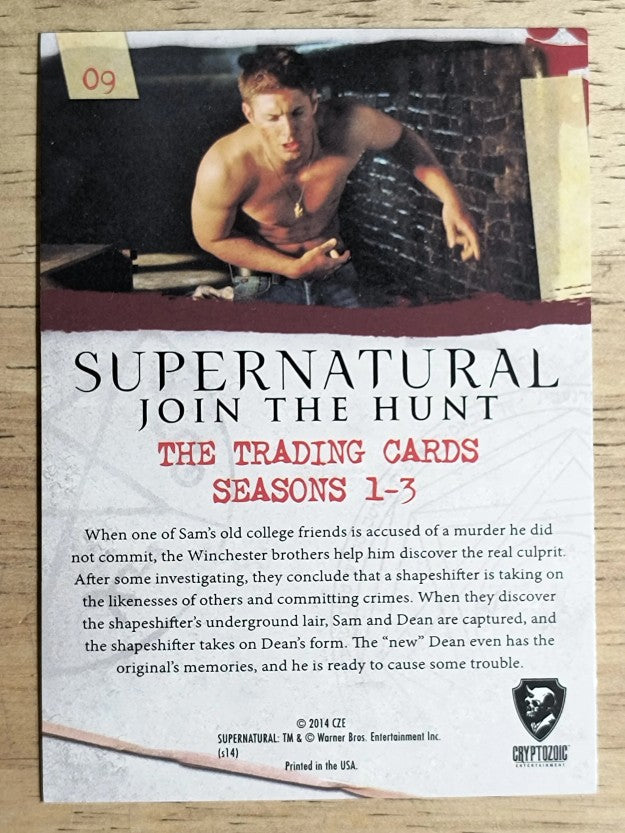 2014 Cryptozoic Supernatural Seasons 1-3 #9 Skin