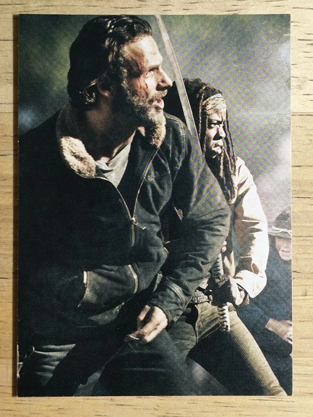 2016 The Walking Dead Season Four Part 2 Posters #D7 Rick Grimes/Michonne