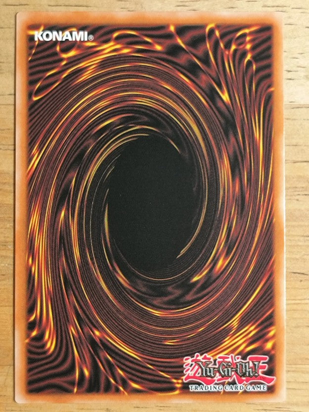 2023 Yu-Gi-Oh Amazing Defenders 1st Edition #AMDEEN059 Piri Reis Map R