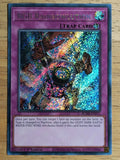 2023 Yu-Gi-Oh Battles of Legend Monstrous Revenge 1st #011 RGB Rainbowlution SCR