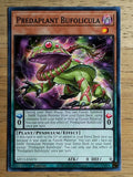 2023 Yu-Gi-Oh 25th Anniversary Tin Dueling Heroes #070 Predaplant Bufolicula C