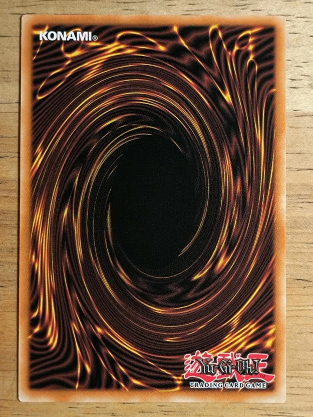 2023 Yu-Gi-Oh 25th Anniversary Tin Dueling Heroes #206 Terrors in Hidden City C