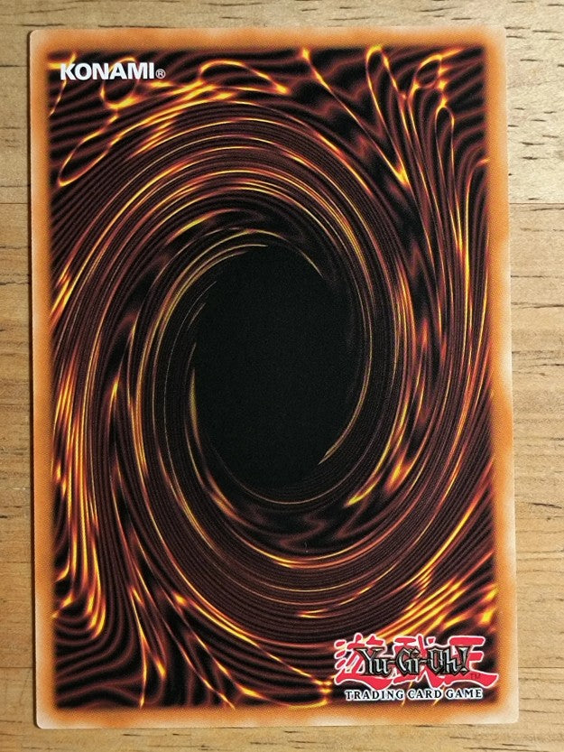 2023 Yu-Gi-Oh 25th Anniversary Tin Dueling Heroes #225 Amazoness Secret Arts C