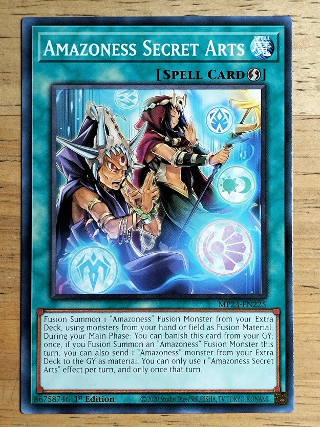 2023 Yu-Gi-Oh 25th Anniversary Tin Dueling Heroes #225 Amazoness Secret Arts C