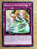 2023 Yu-Gi-Oh 25 Anniversary Tin Dueling Heroes Mega 273 Breath of Resurrection
