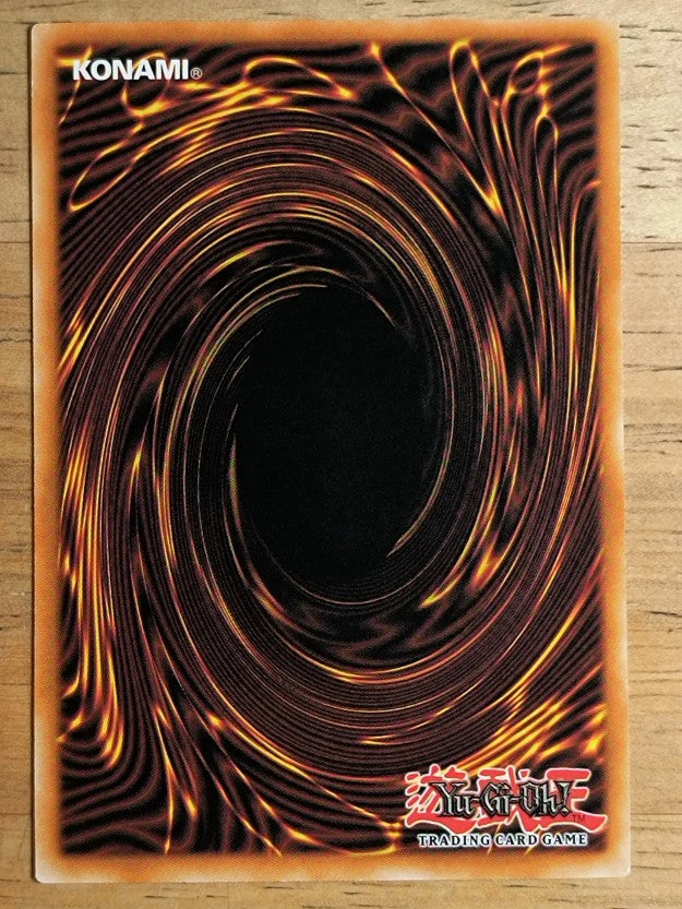2023 Yu-Gi-Oh Structure Deck Beware of Traptrix 1st Ed #29 Bottomless Trap Hole
