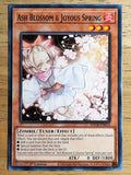 2022 Yu-Gi-Oh Legend of the Crystal Beasts 1st Ed 14 Ash Blossom & Joyous Spring