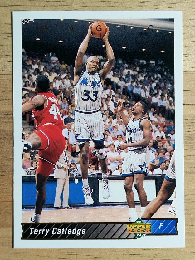 1992-93 Upper Deck #196 Terry Catledge