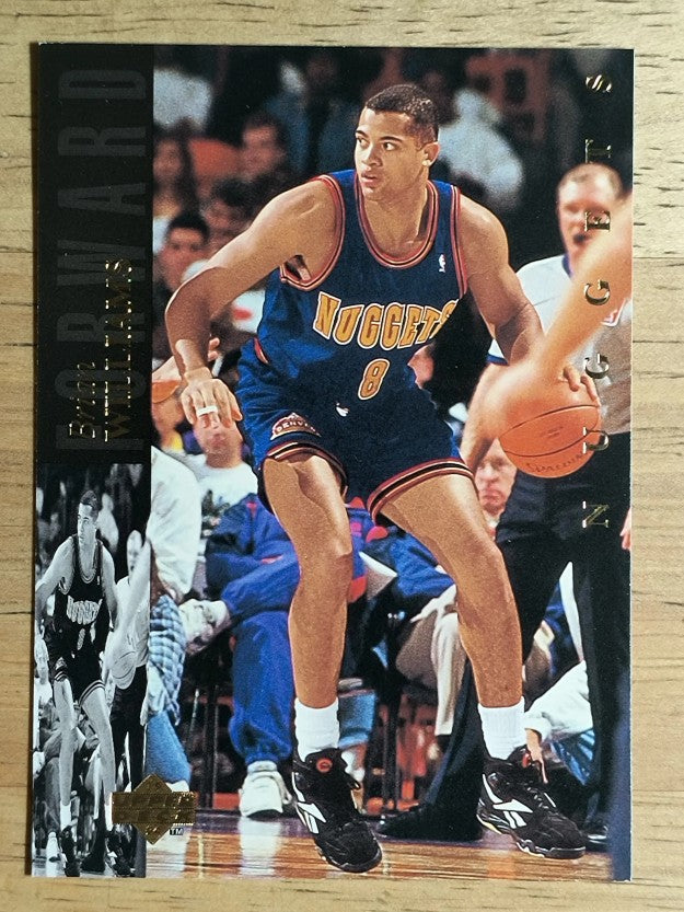 1993-94 Upper Deck SE #54 Brian Williams