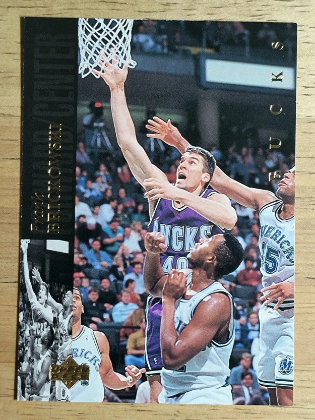 1993-94 Upper Deck SE #130 Frank Brickowski