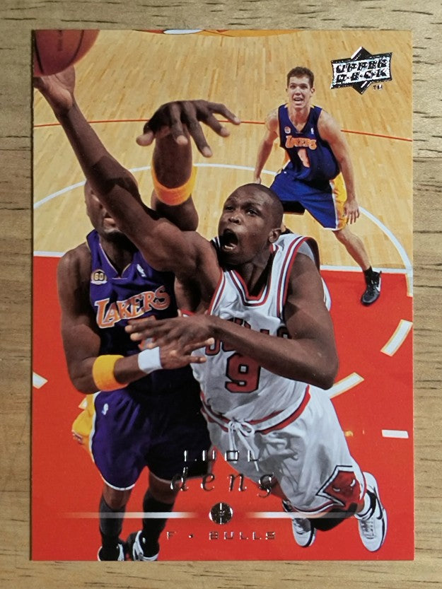 2008-09 Upper Deck #26 Luol Deng