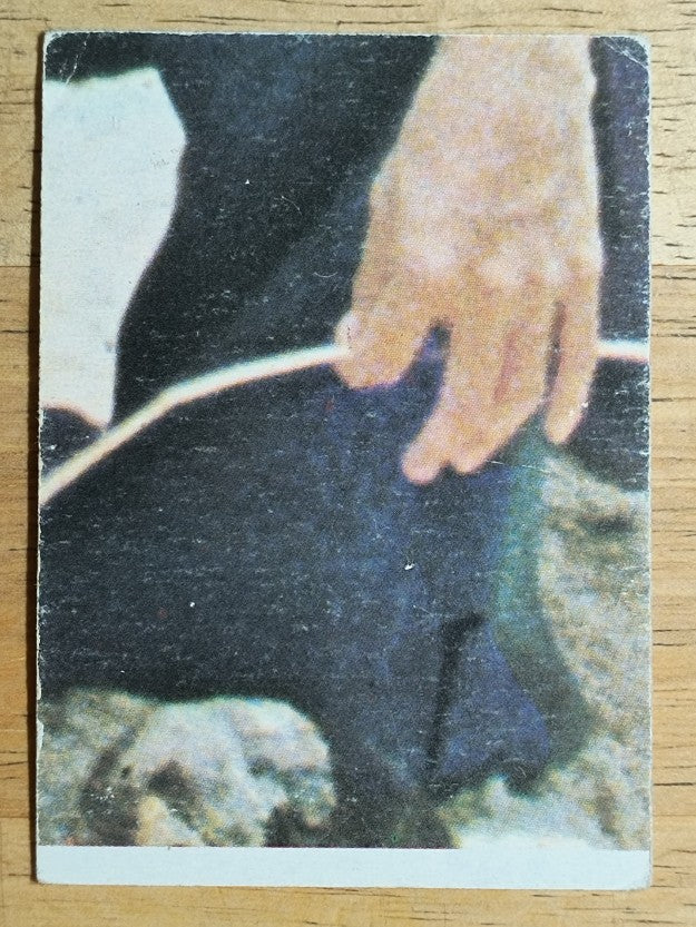 1977 Topps Charlie's Angels #150 Time Out for Sabrina (VG)