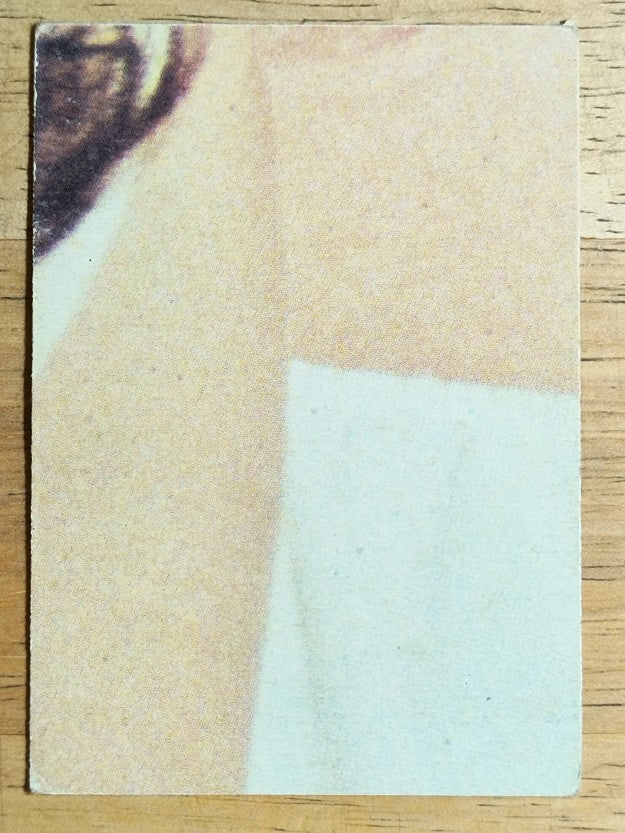 1977 Topps Charlie's Angels #217 Adorable Angel (VGEX)