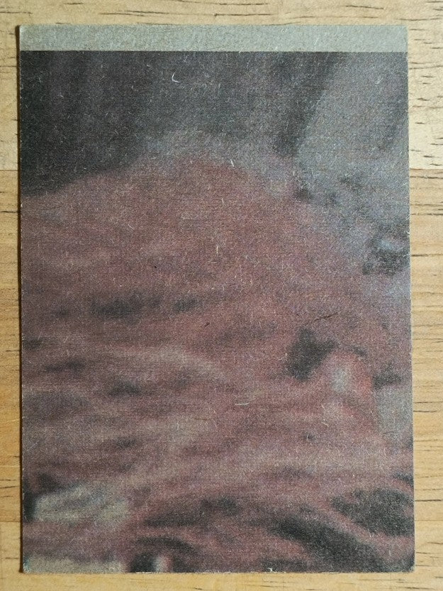 1977 Topps Star Wars #243 Rebels in the trench (VGEX)