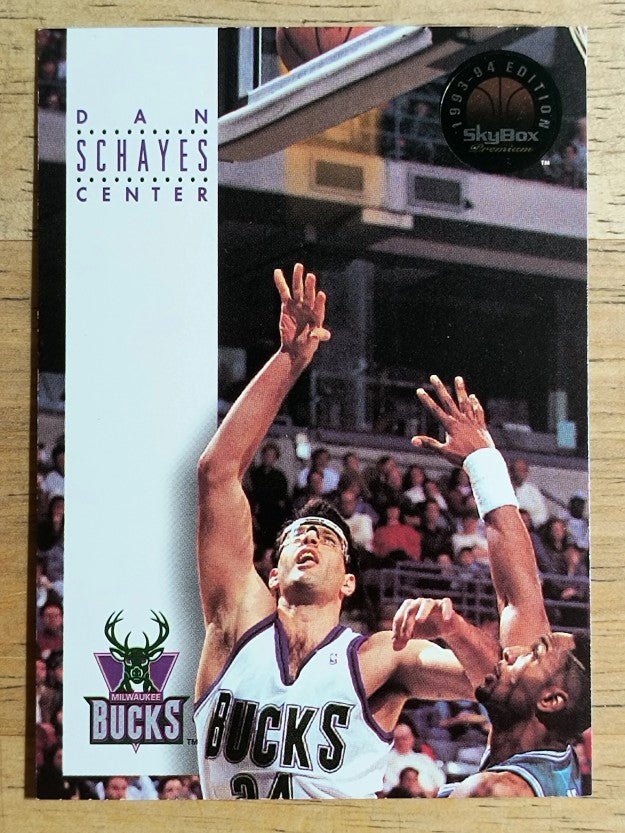 1993-94 SkyBox Premium #248 Danny Schayes