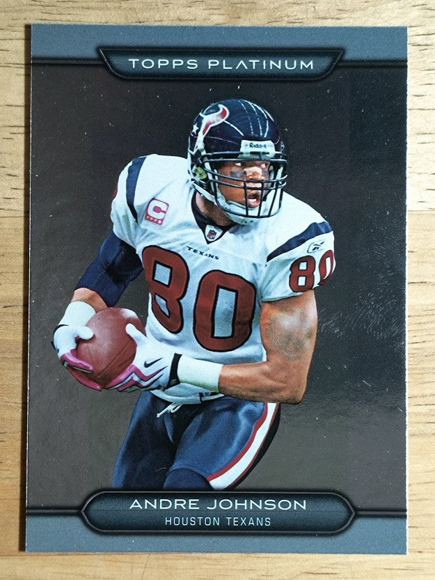 2010 Topps Platinum #40 Andre Johnson