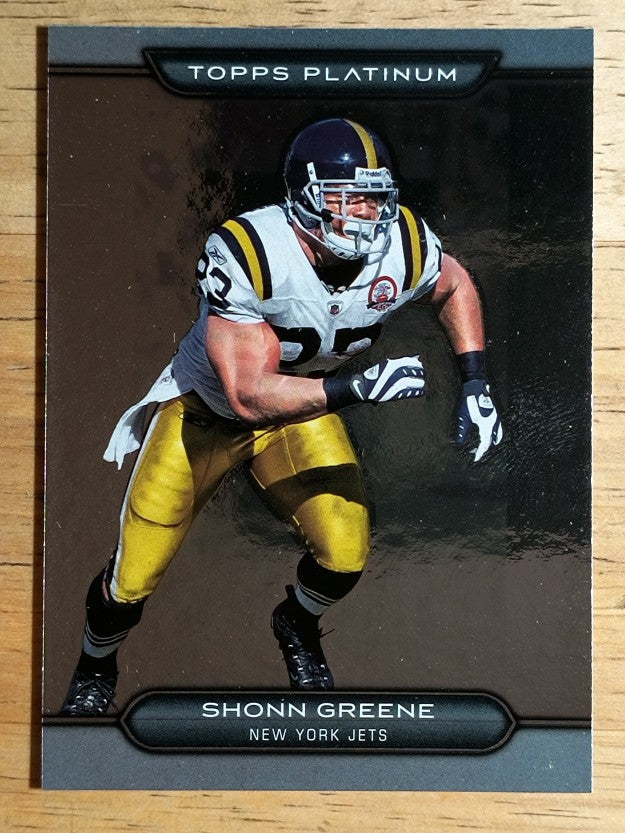 2010 Topps Platinum #117 Shonn Greene