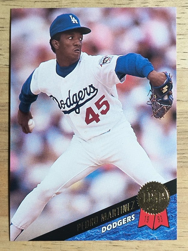 1993 Leaf #163 Pedro Martinez