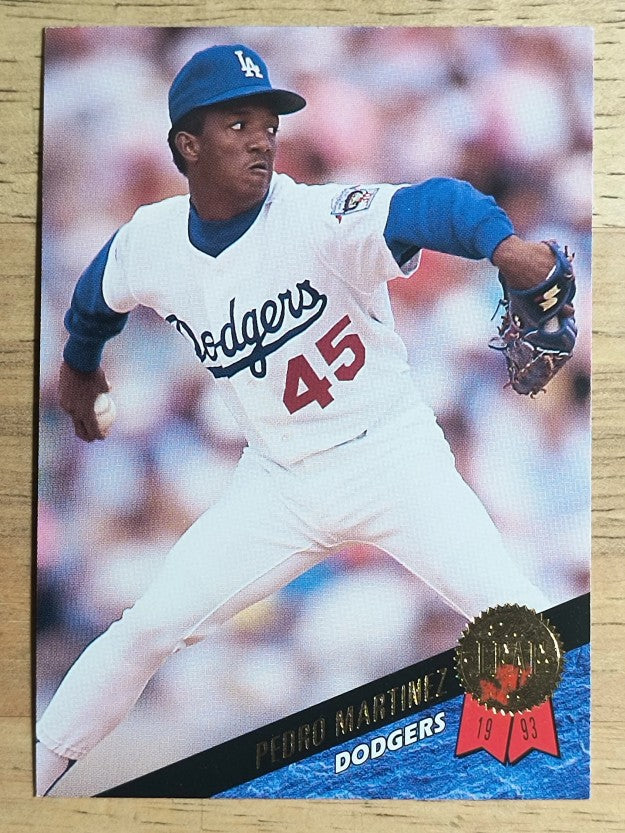 1993 Leaf #163 Pedro Martinez