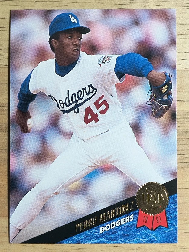 1993 Leaf #163 Pedro Martinez