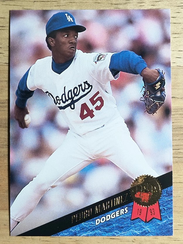 1993 Leaf #163 Pedro Martinez