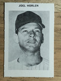 1969 Milton Bradley #NNO Joel Horlen (NM)