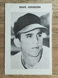 1969 Milton Bradley #NNO Dave Johnson (VGEX)