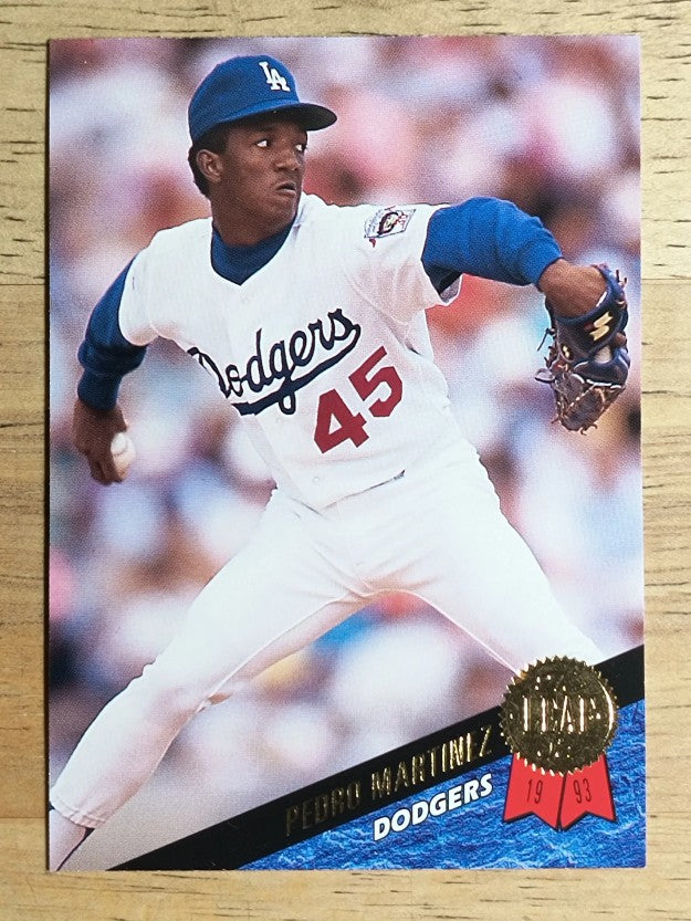 1993 Leaf #163 Pedro Martinez