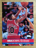1993-94 Hoops #292 B.J. Armstrong TRIB