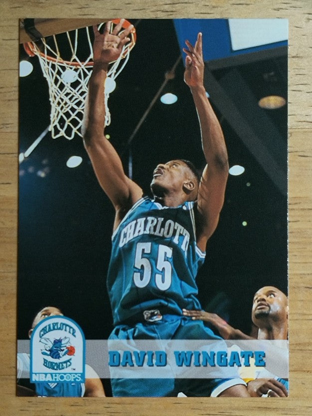 1993-94 Hoops #310 David Wingate