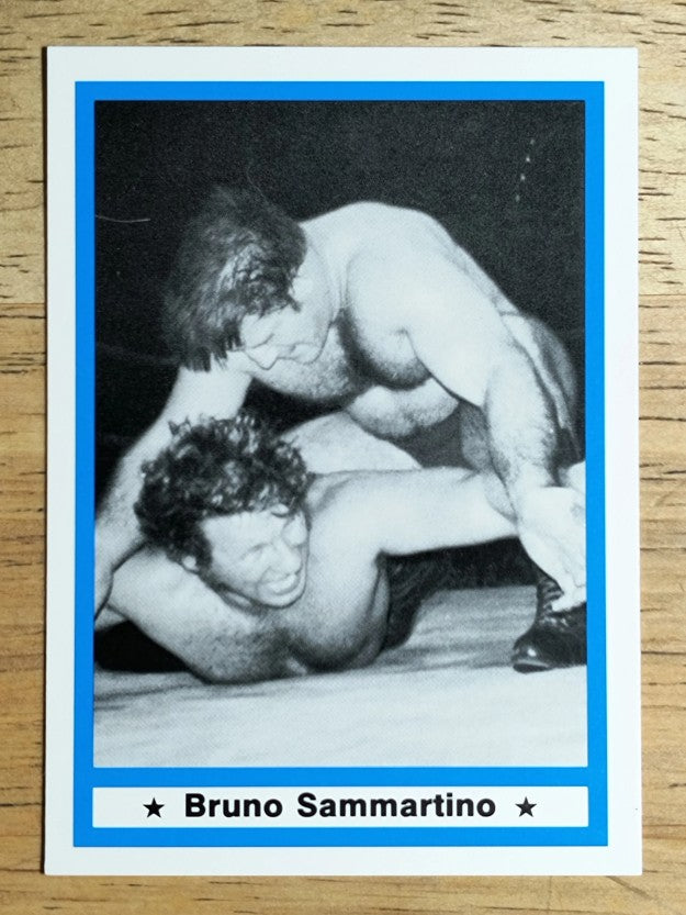 1991 Imagine Wrestling Legends #9 Bruno Sammartino