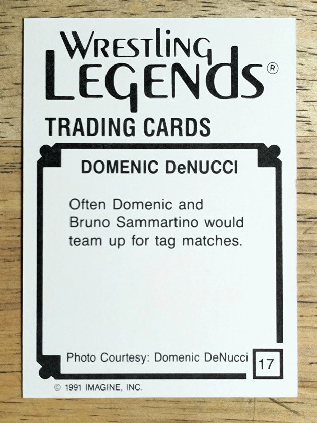 1991 Imagine Wrestling Legends #17 Domenic DeNucci