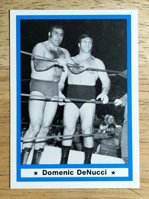 1991 Imagine Wrestling Legends #17 Domenic DeNucci