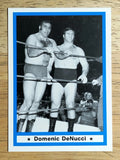 1991 Imagine Wrestling Legends #17 Domenic DeNucci