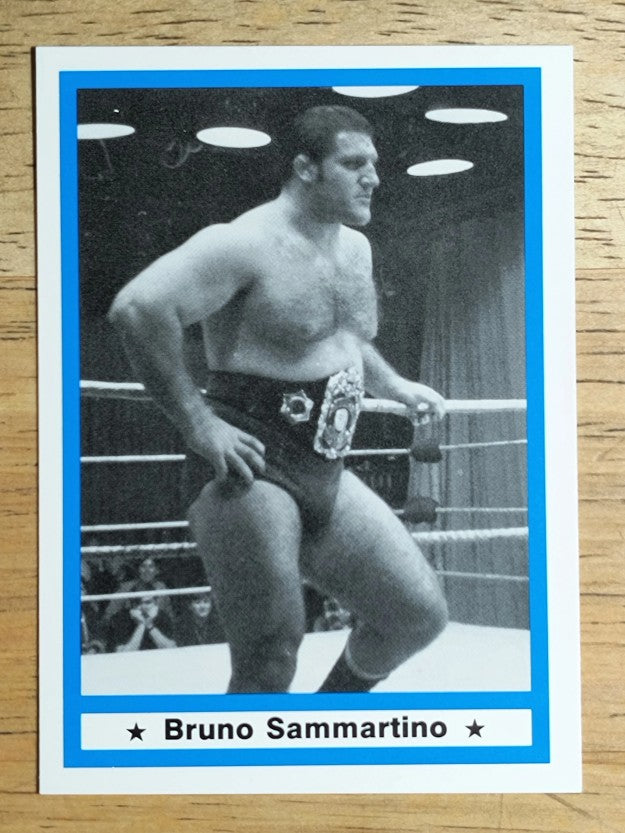 1991 Imagine Wrestling Legends #18 Bruno Sammartino
