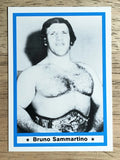 1991 Imagine Wrestling Legends #38 Bruno Sammartino