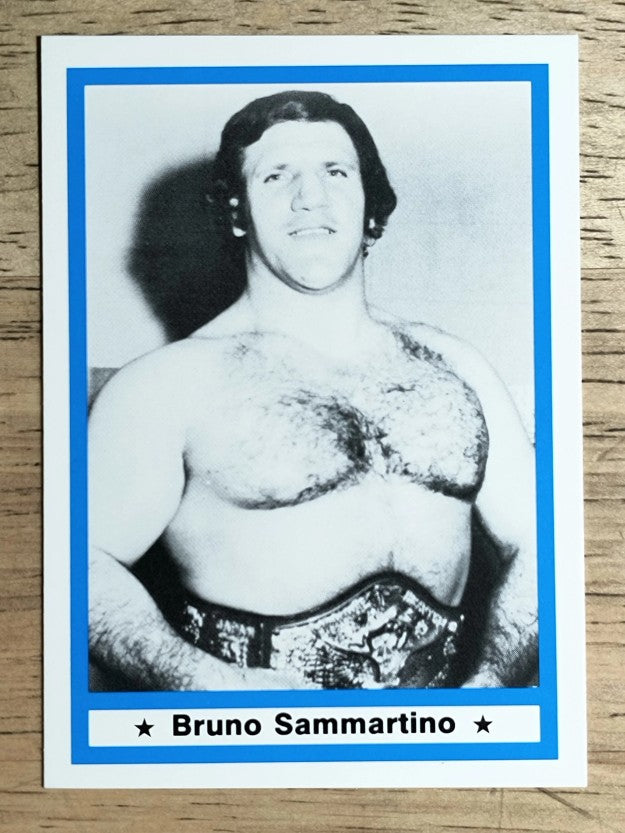 1991 Imagine Wrestling Legends #38 Bruno Sammartino