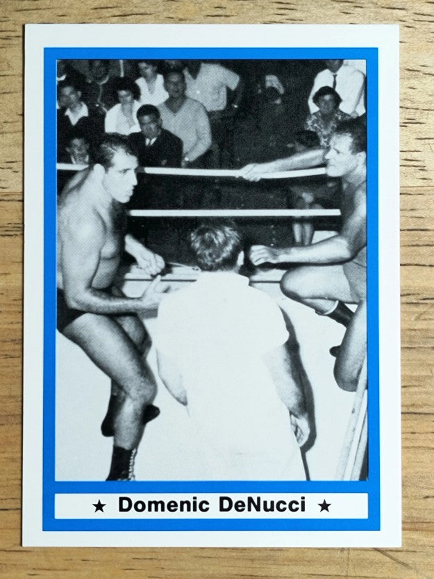 1991 Imagine Wrestling Legends #55 Domenic DeNucci