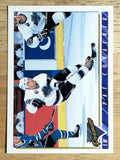 1993-94 Topps Premier #252 Pat Conacher
