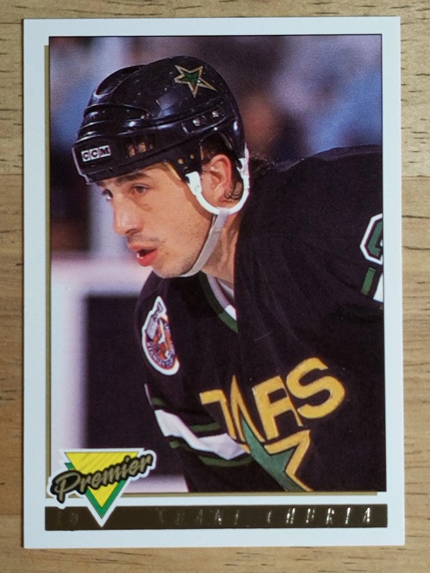 1993-94 Topps Premier Gold #368 Shane Churla