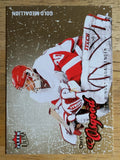 2008-09 Ultra Gold Medallion #146 Chris Osgood
