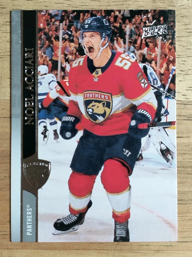 2020-21 Upper Deck #77 Noel Acciari