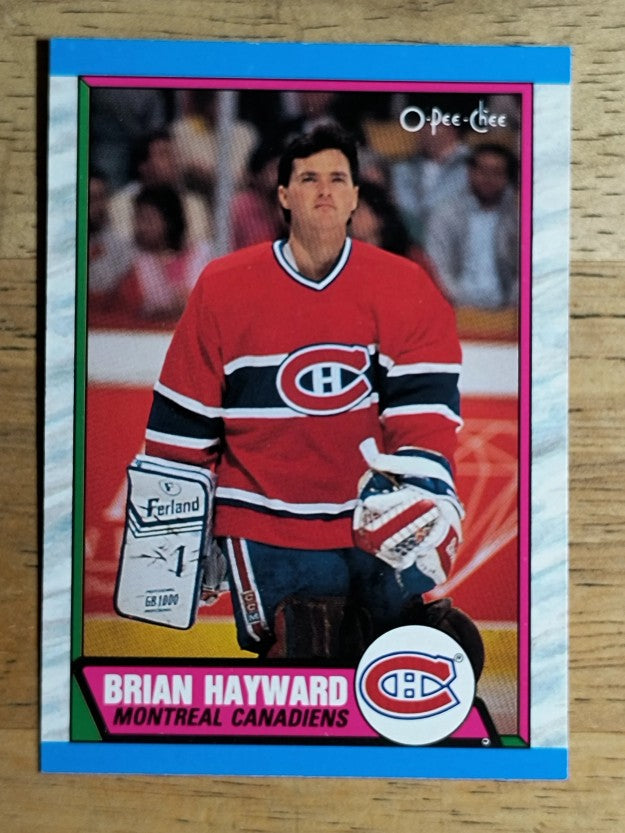 1989-90 O-Pee-Chee #237 Brian Hayward
