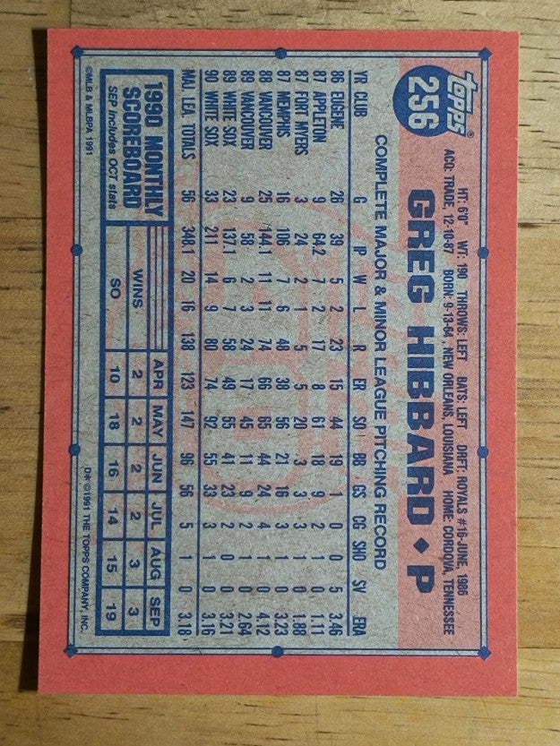 1991 Topps #256 Greg Hibbard