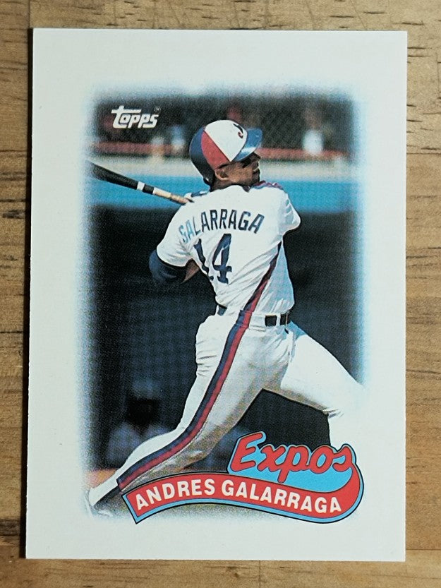 1989 Topps Mini Leaders #22 Andres Galarraga