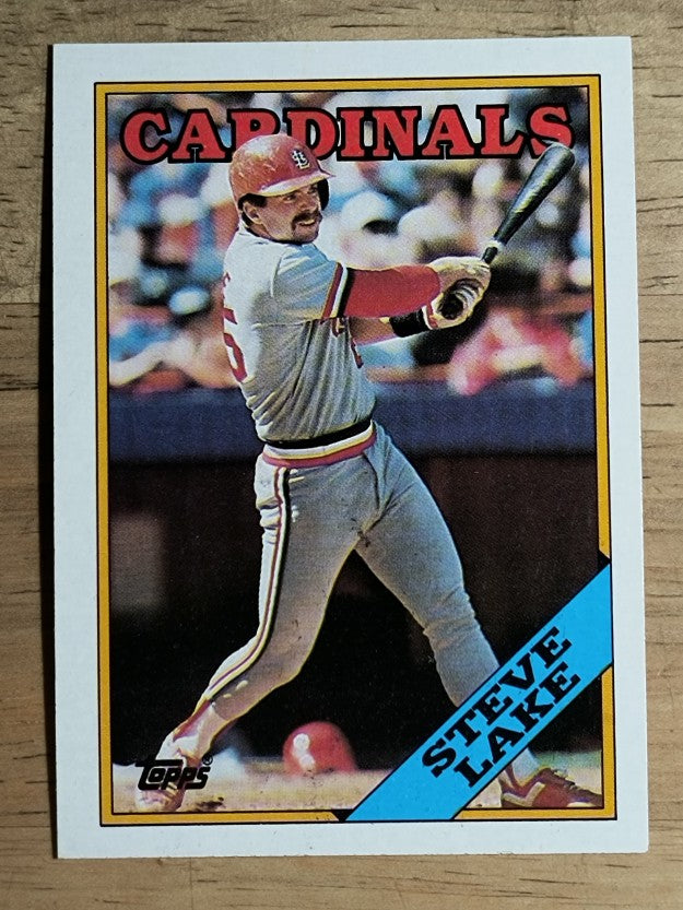 1988 Topps #208 Steve Lake