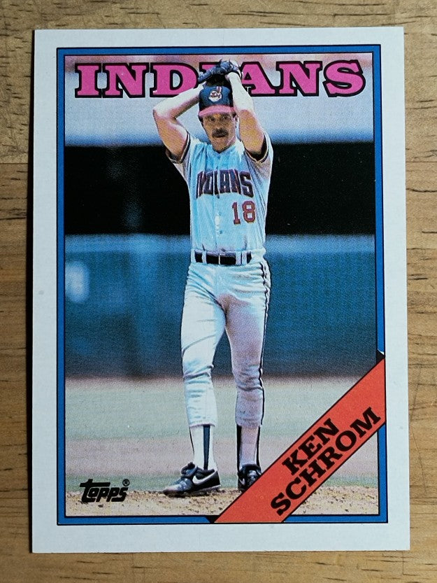 1988 Topps #256 Ken Schrom