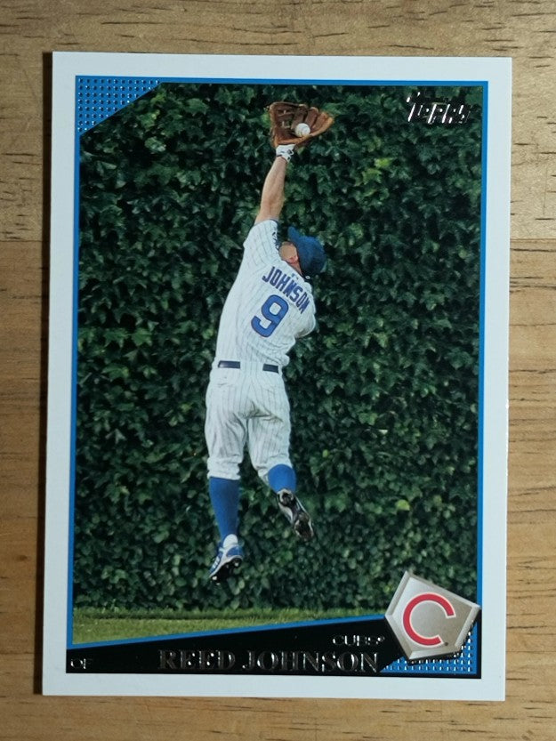 2009 Topps #124 Reed Johnson