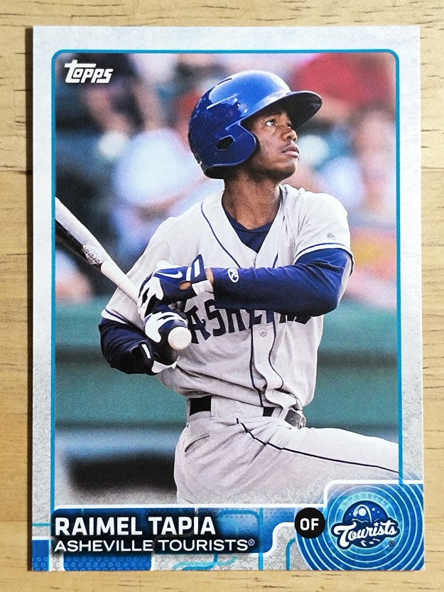 2015 Topps Pro Debut #70 Raimel Tapia
